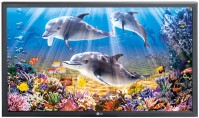 Фото - Монитор LG M4214CCBA 42&nbsp;"  черный