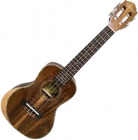 Фото - Гитара Parksons UFPTYC