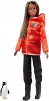 Фото - Кукла Barbie Polar Marine Biologist GDM45 