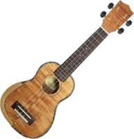 Фото - Гитара Parksons UKA366