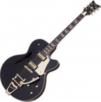 Фото - Гитара Schecter Coupe