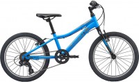 Фото - Велосипед Giant XTC Jr 20 Lite 2020