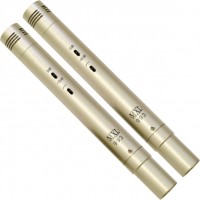 Фото - Микрофон Marshall Electronics MXL 993 SPR