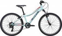 Фото - Велосипед Giant XTC Jr 24 2020