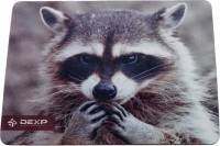 Фото - Коврик для мышки DEXP OM-XS Racoon