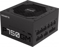Блок питания Gigabyte P-Series 2020 P750GM