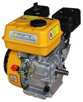Фото - Двигатель Forte F210GS-20
