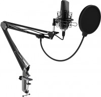 Микрофон Ritmix RDM-169 