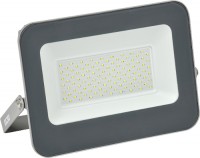 Фото - Прожектор / светильник IEK LPDO701-100-K03