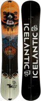 Фото - Лыжи Icelantic Gemini Splitboard 158 (2014/2015) 