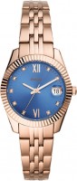 Фото - Наручные часы FOSSIL ES4901