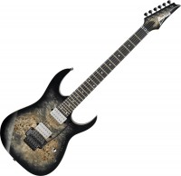 Фото - Гитара Ibanez RG1120PBZ 