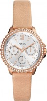 Фото - Наручные часы FOSSIL ES4888 