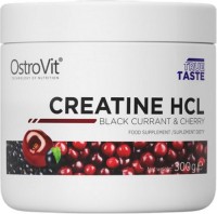 Фото - Креатин OstroVit Creatine HCL Powder 300 г