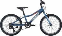 Фото - Детский велосипед Giant XTC Jr 20 Lite 2021 