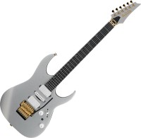 Фото - Гитара Ibanez RG5170G 