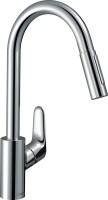 Фото - Смеситель Hansgrohe Focus M41 73895000 