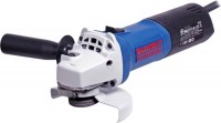 Фото - Шлифовальная машина Phiolent Professional MShU 13-9-125E