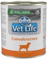 Фото - Корм для собак Farmina Vet Life Canned Convalescence 300 g 1 шт