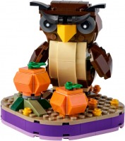 Фото - Конструктор Lego Halloween Owl 40497 