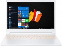 Фото - Ноутбук Acer ConceptD 3 Pro CN315-71P (CN315-71P-58N0)