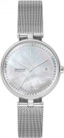 Наручные часы Skagen SKW2979 