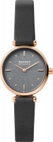 Наручные часы Skagen SKW2995 