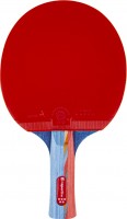 Фото - Ракетка для настольного тенниса inSPORTline Shootfair S5 