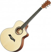 Фото - Гитара Deviser LS-120n