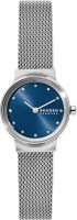 Наручные часы Skagen SKW2920 