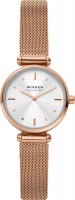 Фото - Наручные часы Skagen SKW2955 