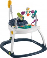 Фото - Ходунки Fisher Price HBG73 