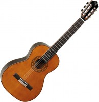 Фото - Гитара Tanglewood EM D4