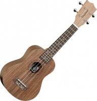 Фото - Гитара Tanglewood TWT2 