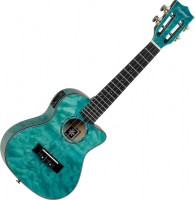 Фото - Гитара Tanglewood TWT23E 