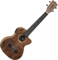 Фото - Гитара Tanglewood TWT22E