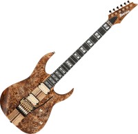 Фото - Гитара Ibanez RGT1220PB 