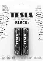 Фото - Аккумулятор / батарейка Tesla Black+  2xAA