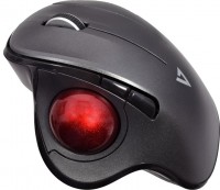 Фото - Мышка V7 Vertical Ergonomic Trackball Wireless Mouse 