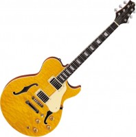 Фото - Гитара Samick RL-3