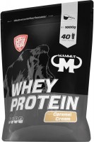 Фото - Протеин Mammut Whey Protein 1 кг