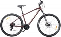 Фото - Велосипед Spirit Fitness Echo 9.2 29 2021 frame XL 