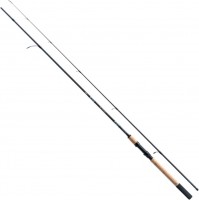 Фото - Удилище Jaxon Eclatis Master Spin 295-40 