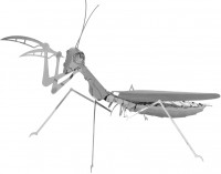 Фото - 3D пазл Fascinations Mantis MMS069 