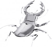 Фото - 3D пазл Fascinations Stag Beetles MMS071
