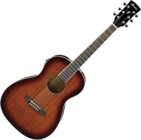 Фото - Гитара Ibanez PN12E 