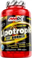 Фото - Сжигатель жира Amix Lipotropic Fat Burner 100 шт