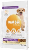 Фото - Корм для собак IAMS Vitality Puppy Large Breed Fresh Chicken 12 kg 