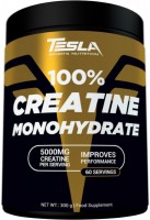 Фото - Креатин Tesla 100% Creatine Monohydrate 300 г