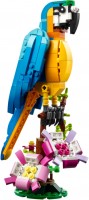 Фото - Конструктор Lego Exotic Parrot 31136 